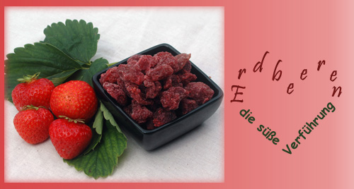 erdbeeren_nl02