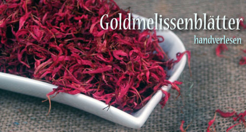 Goldmelissenblaetter