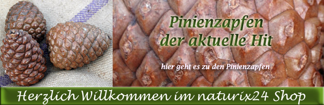 Pinienzapfen von Naturix24 Pinienzapfen von Naturix24