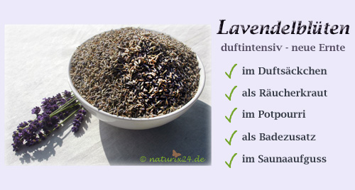 lavendel_nl10