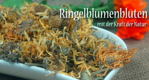 Ringelblumenblueten