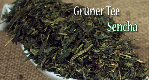 Grüner Tee Sencha