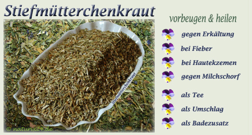 Stiefmütterchenkraut von Naturix24