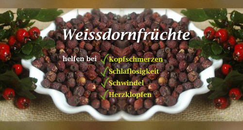 Weissdornfruechte von Naturix24