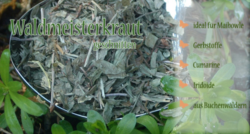 Waldmeisterkraut