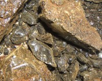 Kapaloe Stücke Kapaloe Stücke