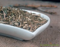 Färberwau, Reseda geschnitten Färberwau, Reseda geschnitten