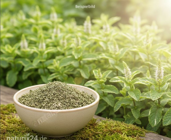 Ananasminze geschnitten