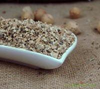 Gallen, Galläpfel geschnitten Gallen, Galläpfel geschnitten