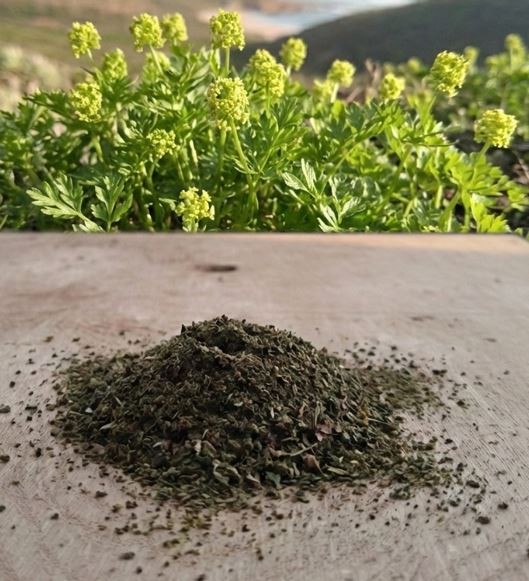 Moschuskraut gemahlen