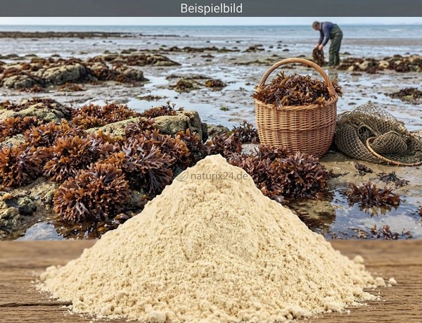 Carragheenmoos gemahlen