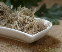 Eichenmoos geschnitten Eichenmoos geschnitten