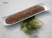 Dillsamen ganz Dillsamen ganz