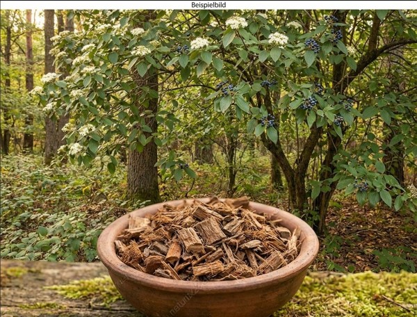 Schneeballrinde virginisch geschnitten