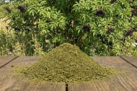 Holunderblätter gemahlen