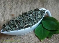 Holunderblätter geschnitten Holunderblätter geschnitten