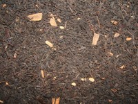 Schwarzer Tee ZIMT-VANILLE Schwarzer Tee ZIMT-VANILLE