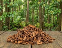 Yohimberinde geschnitten