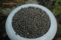 Abelmoschussamen ganz Abelmoschussamen ganz