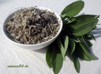 Salbei, Salbeiblätter ganz Salbei, Salbeiblätter ganz