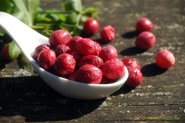 Cranberrys gefriergetrocknet