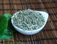 Ehrenpreiskraut geschnitten Ehrenpreiskraut geschnitten