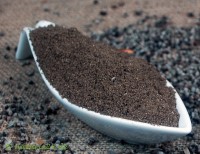 Keuschlammsamen gemahlen Keuschlammsamen gemahlen