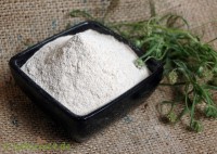 Flohsamenschalen hell gemahlen Flohsamenschalen hell gemahlen