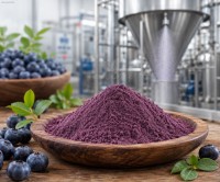 Blaubeeren sprühgetrocknet