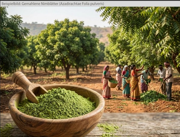 Nimblätter gemahlen