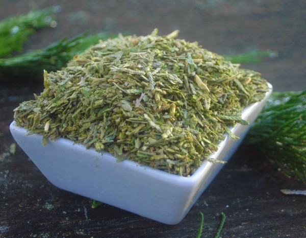 Zypressenspitzen geschnitten