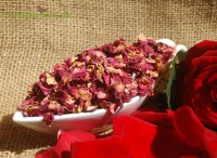 Rosenblütenblätter rot ganz