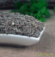 Poleiminzekraut geschnitten Poleiminzekraut geschnitten