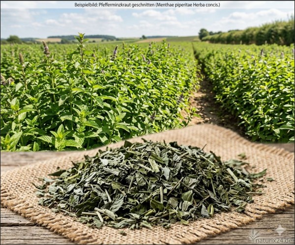 Pfefferminzkraut geschnitten