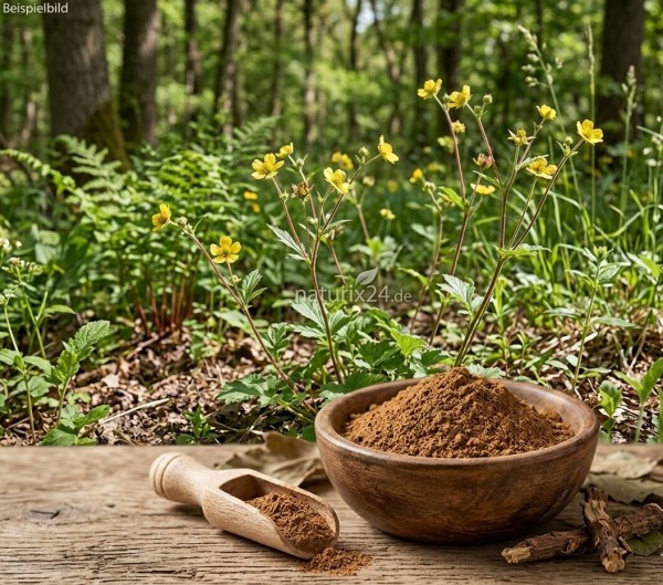 Nelkenwurzwurzel gemahlen