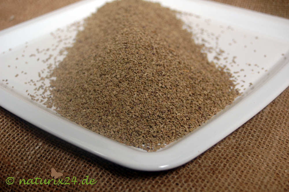 Ajowan, Ajowanfrucht Naturix24 Produkte der Natur