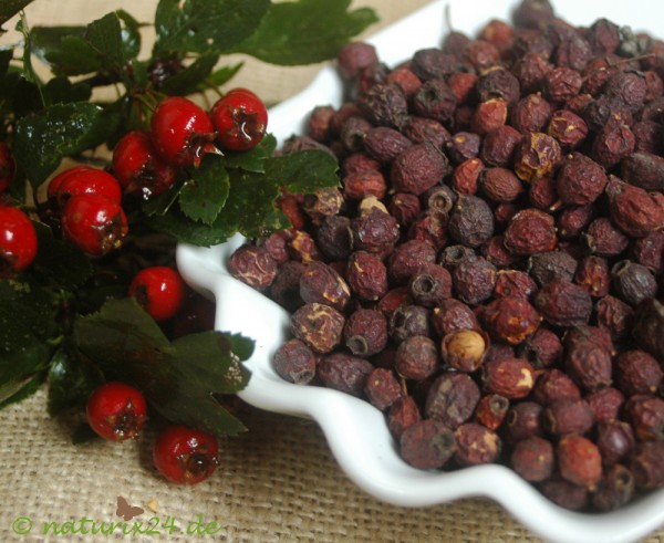 Weißdornbeeren, Weissdornfrüchte ganz