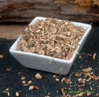 Meisterwurzwurzel geschnitten Meisterwurzwurzel geschnitten