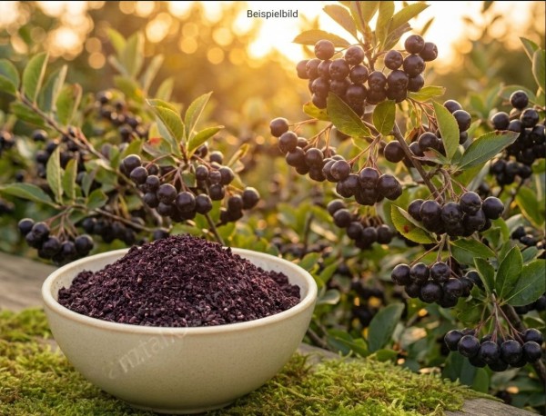 Apfelbeeren, Aroniabeeren gemahlen