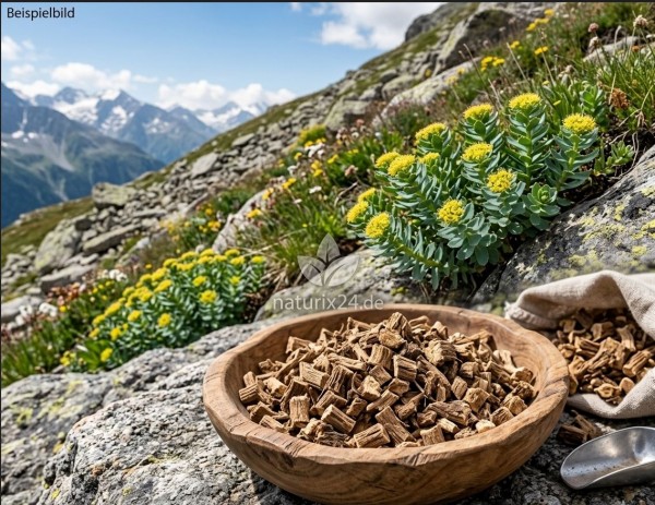 Rosenwurzwurzel geschnitten