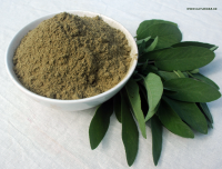 Salbeiblätter gemahlen Salbeiblätter gemahlen