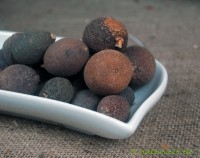 Pomeranzen ganz Pomeranzen ganz