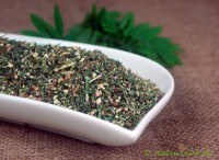 Sutherlandia Ballonerbse geschnitten Sutherlandia Ballonerbse geschnitten