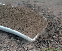 Fenchel braun gemahlen Fenchel braun gemahlen