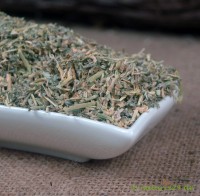 Erdstachelnusskraut geschnitten Erdstachelnusskraut geschnitten