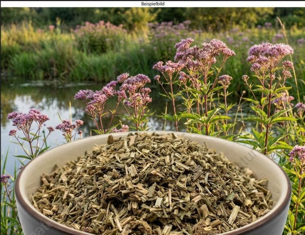 Wasserhanfkraut geschnitten