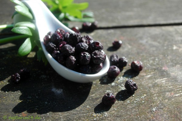 Heidelbeeren gefriergetrocknet