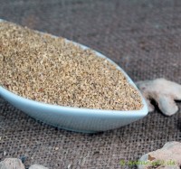 Ingwerwurzel fein geschnitten 0,5-1,5 mm Ingwerwurzel fein geschnitten 0,5-1,5 mm