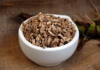 Kalmuswurzel natur geschnitten Kalmuswurzel natur geschnitten