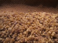 Weihrauch ÄTHIOPIEN 1. Wahl Weihrauch ÄTHIOPIEN 1. Wahl